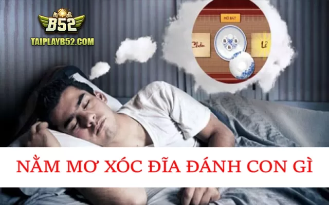 Nam mo danh xoc dia danh con gi