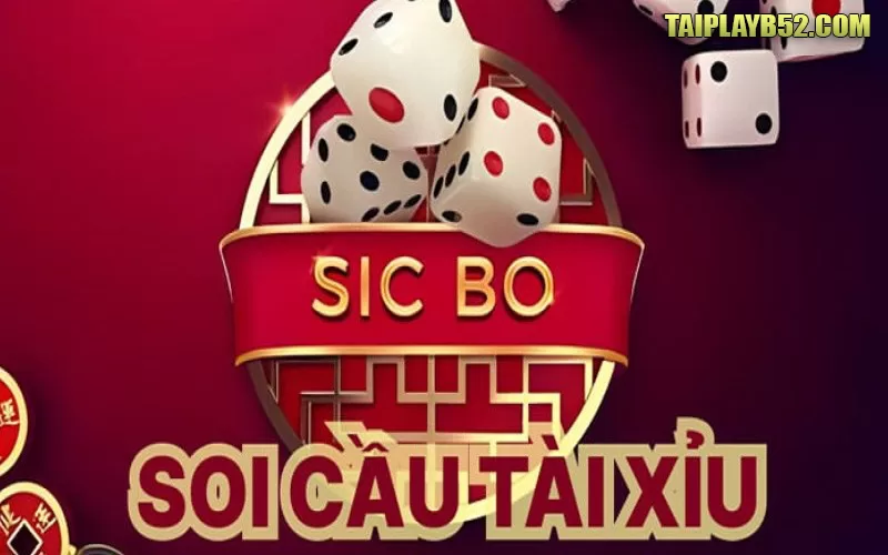Soi cau tai xiu