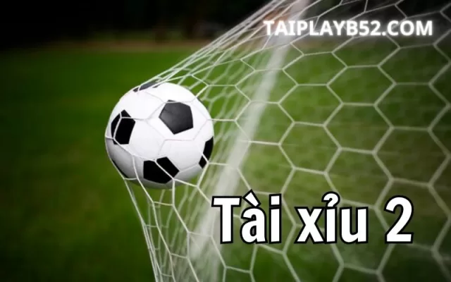 Tai xiu 2 trai