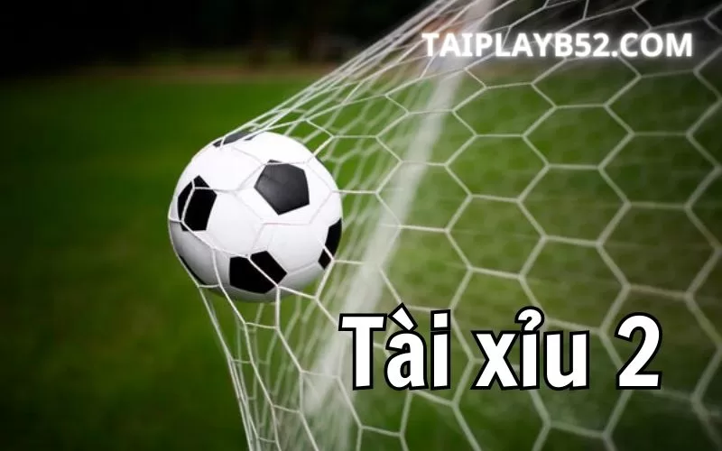 Tai xiu 2 trai
